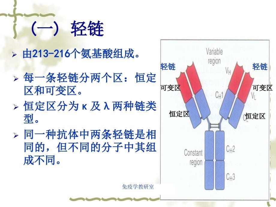 浙科版免疫学及选修三疑难问题解析课件_第5页