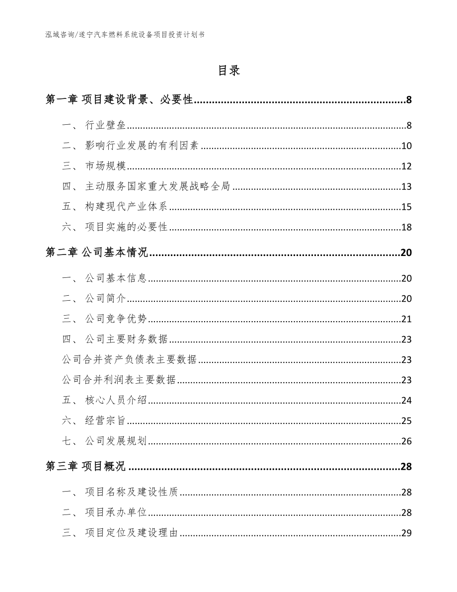 遂宁汽车燃料系统设备项目投资计划书（参考范文）_第1页