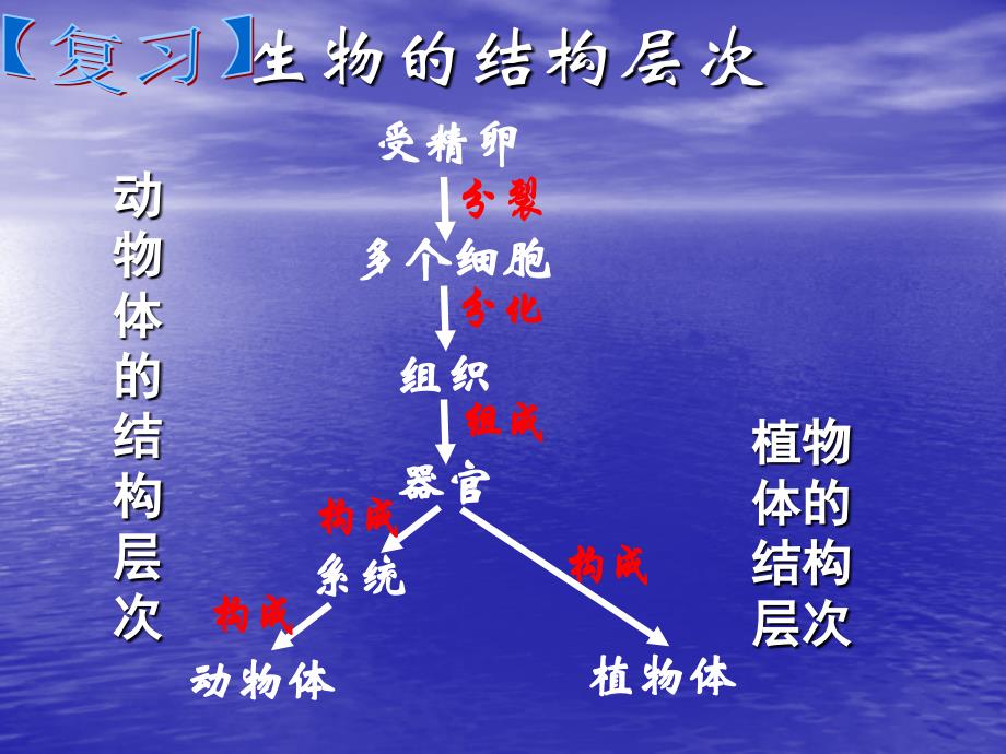 224单细胞生物00_第1页