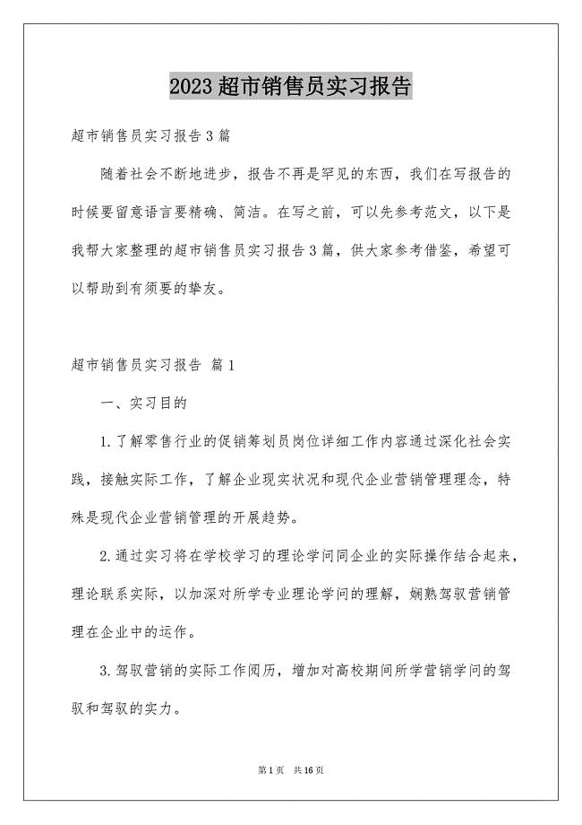 2023年超市销售员实习报告范文.docx