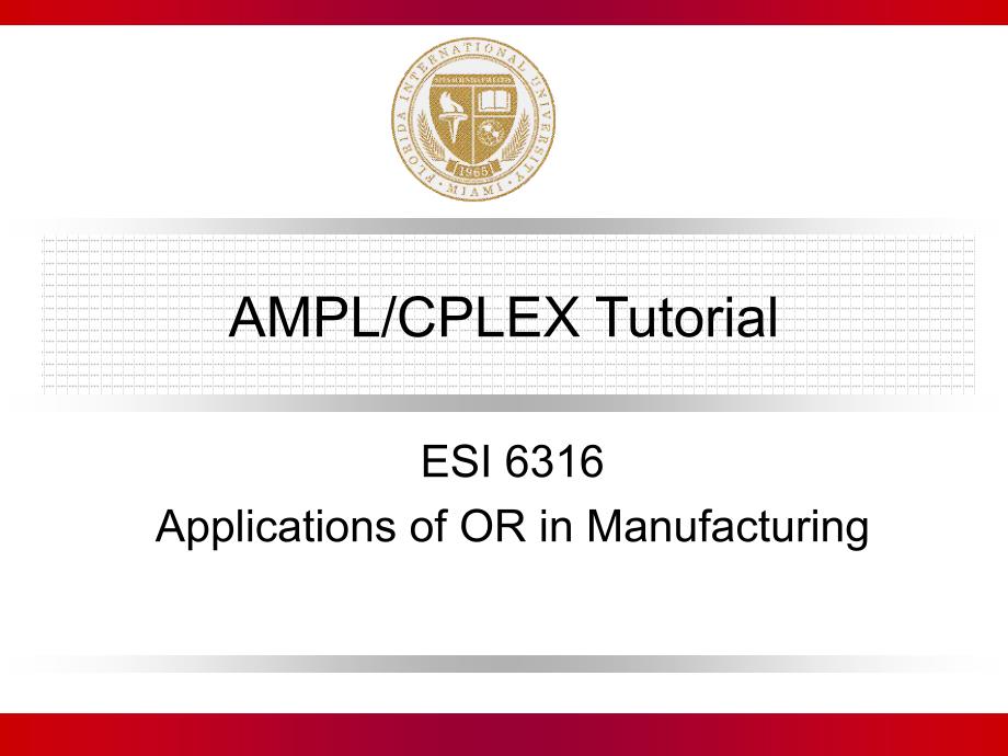 AMPLCPLEXTutorial_第1页