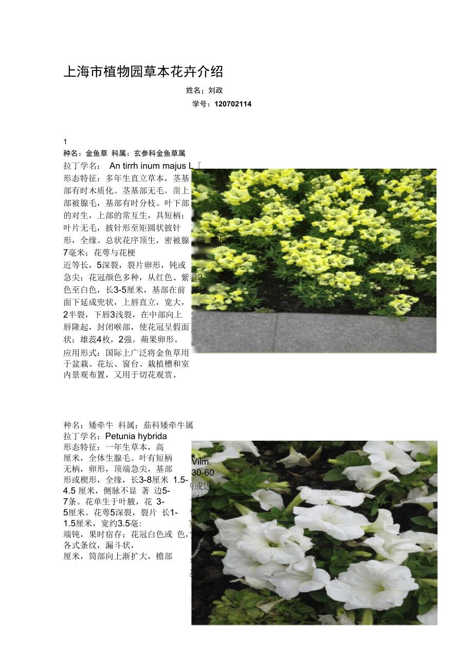 上海植物园草本花卉介绍汇编_第1页
