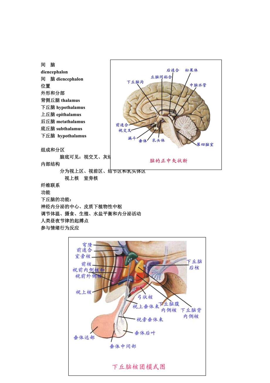 神经外科解剖+意识评分.doc_第4页