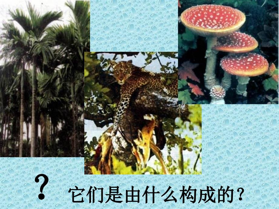 没有细胞结构的微小生物病毒_第2页