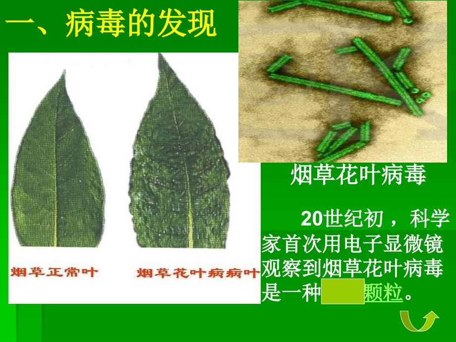 没有细胞结构的微小生物病毒_第4页