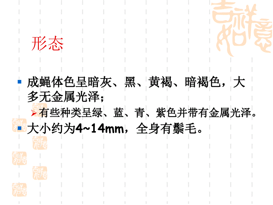 人体寄生虫学ppt课件医学节肢动物_第4页