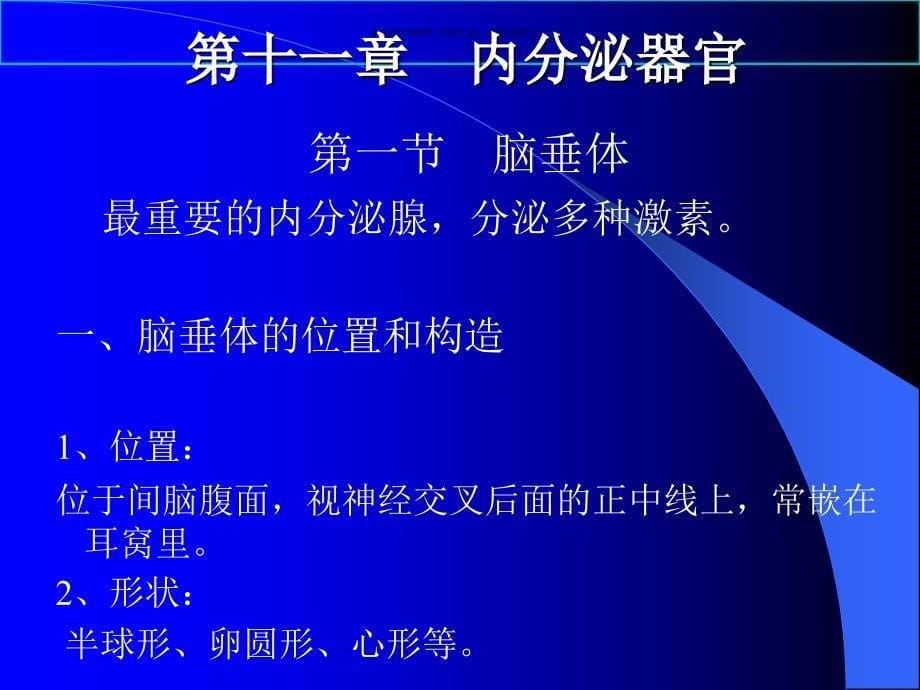 鱼类学内分泌器官课件_第5页