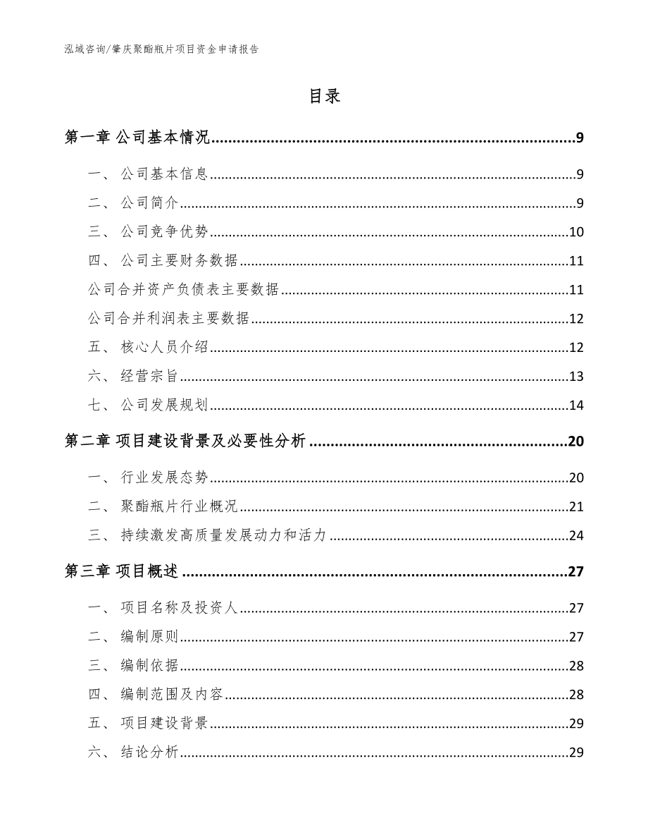 肇庆聚酯瓶片项目资金申请报告（参考范文）_第2页