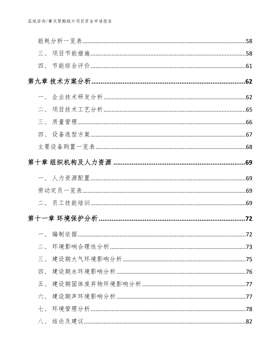 肇庆聚酯瓶片项目资金申请报告（参考范文）_第4页