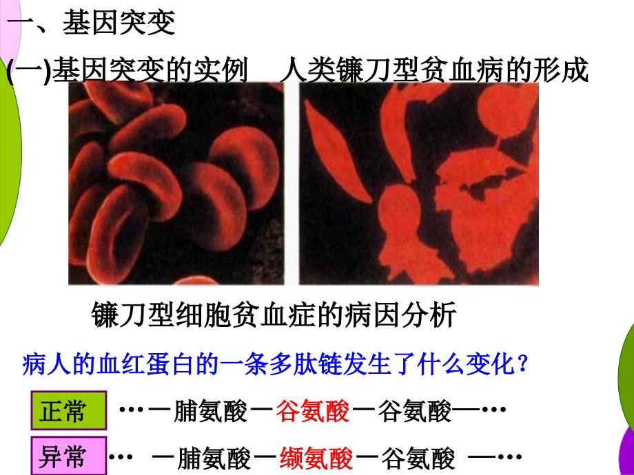 5.1基因突变和基因重组用_第4页