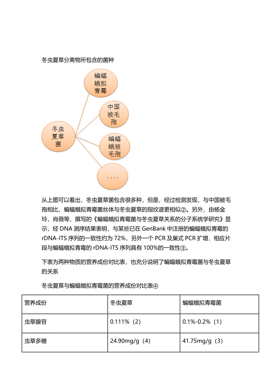 珍源阁蝙蝠蛾拟青霉来源详解.docx_第2页