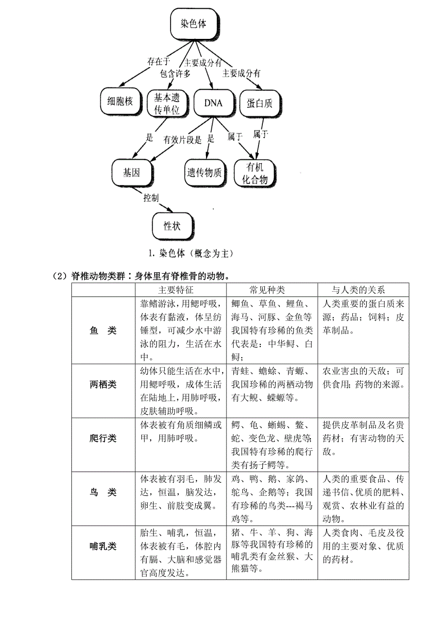 近几年中考体会中考总复习_第3页