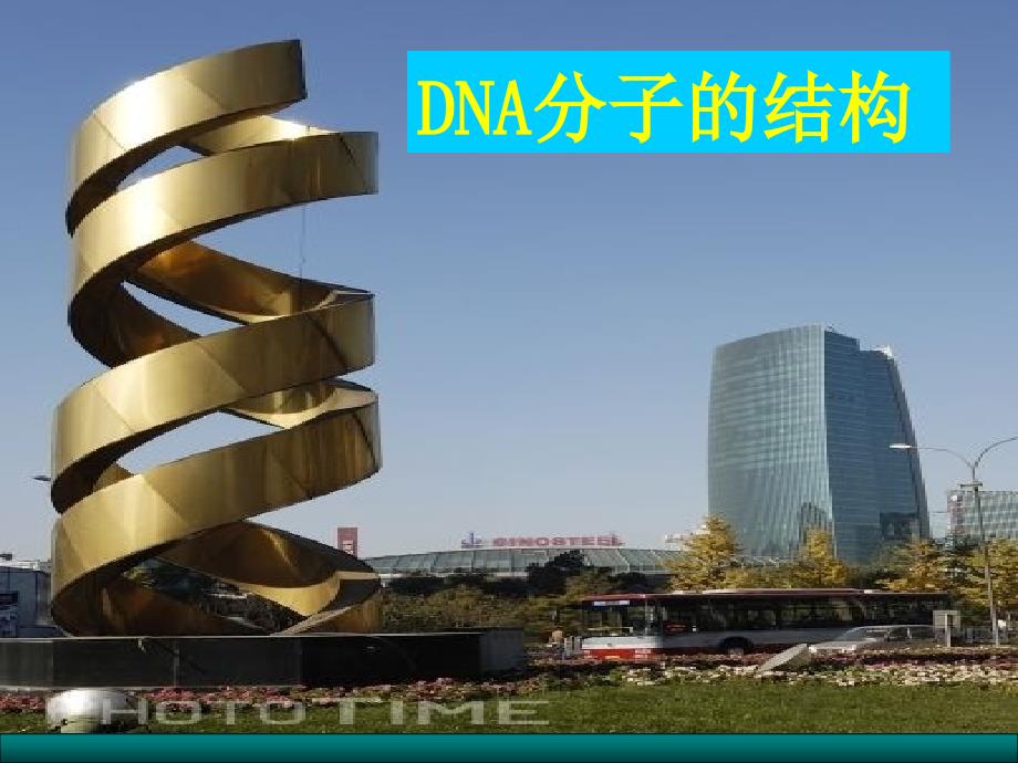 DNA分子的结构_第1页