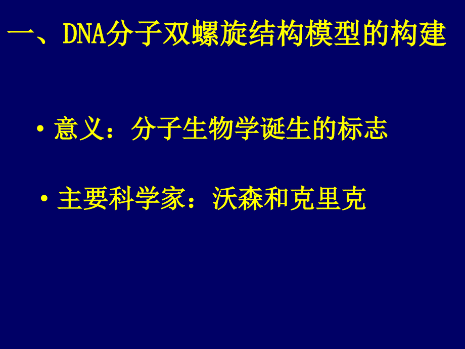 DNA分子的结构_第2页