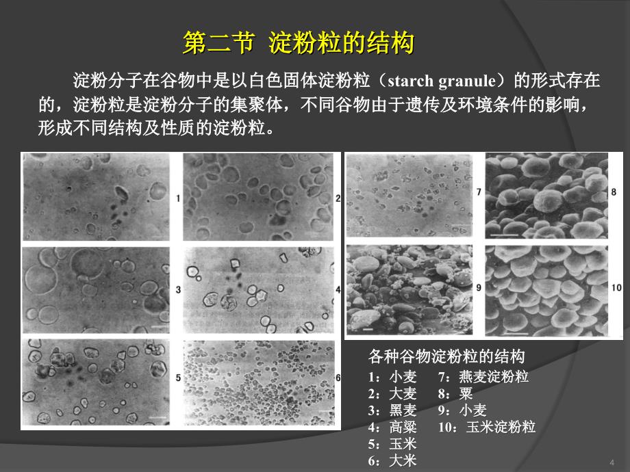 谷物淀粉文档资料_第4页