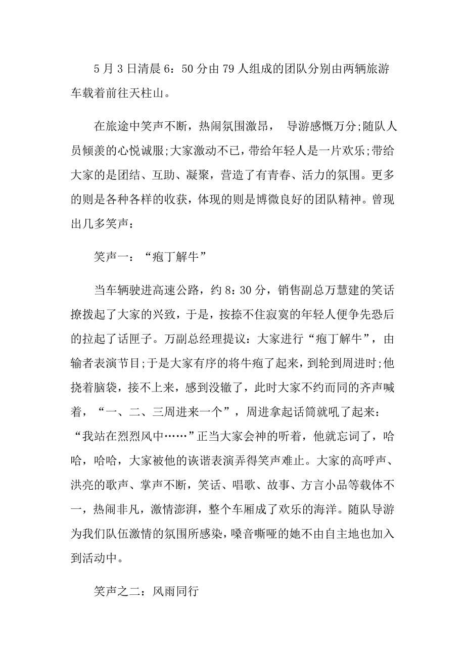 关于公司团队活动总结合集九篇_第5页