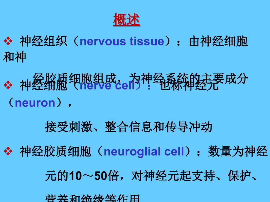 07神经组织文档资料_第1页