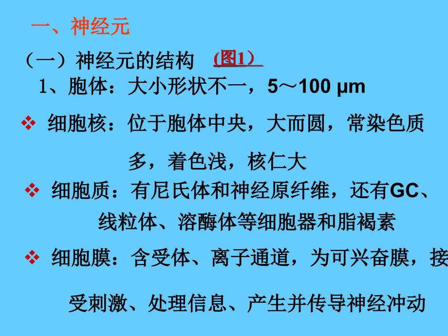 07神经组织文档资料_第2页