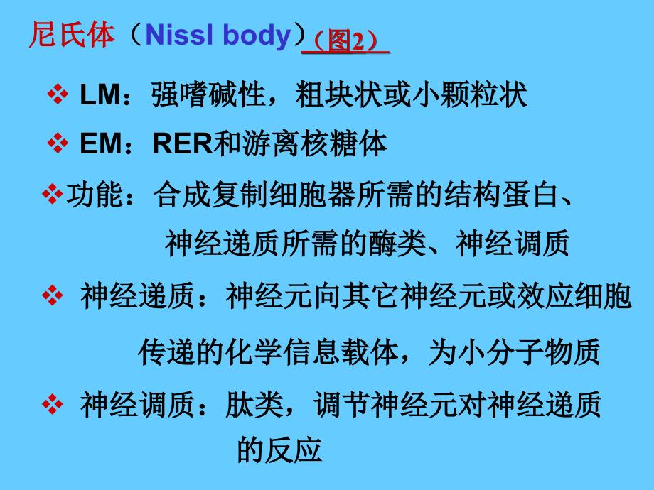 07神经组织文档资料_第4页