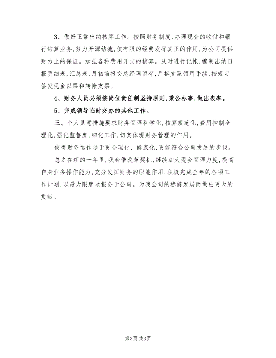 2022年财务出纳个人工作计划标准_第3页