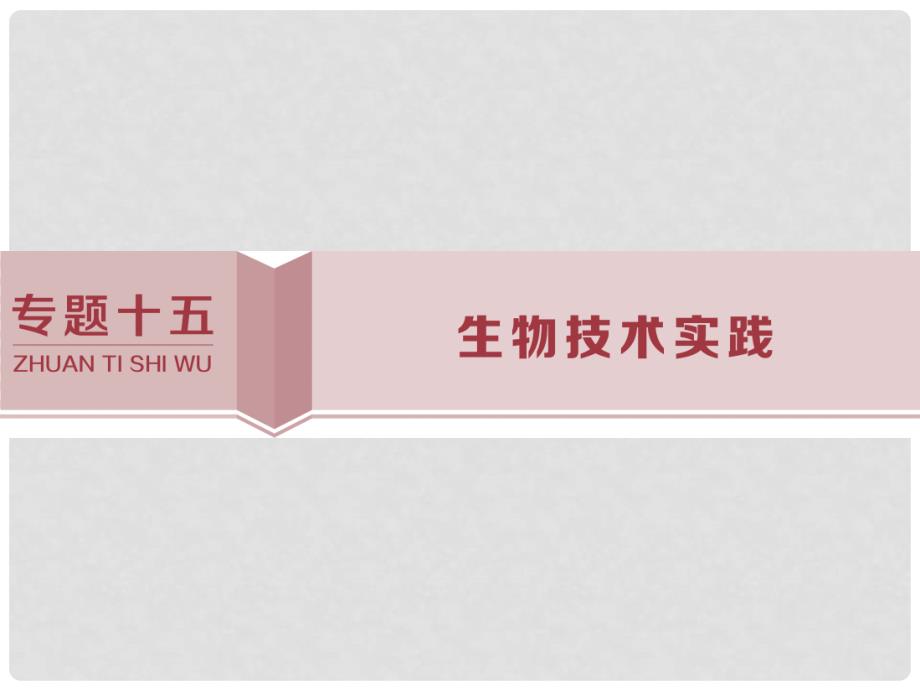 高考生物考前冲刺复习 第1部分 专题突破方略 专题十五 生物技术实践课件_第1页