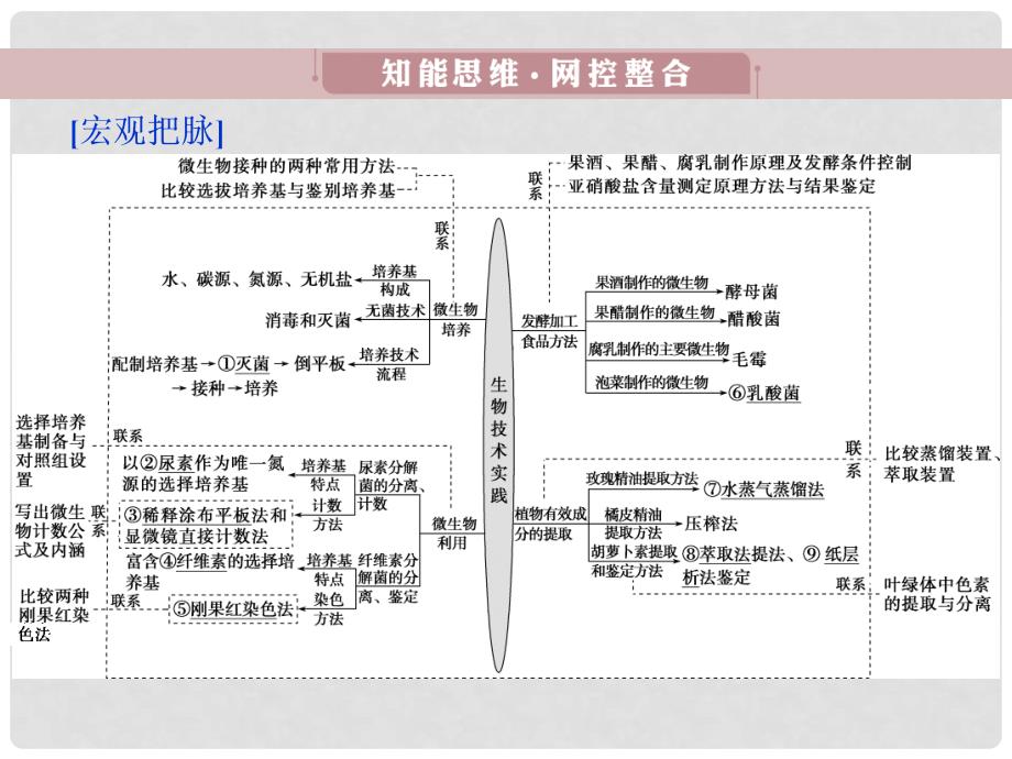 高考生物考前冲刺复习 第1部分 专题突破方略 专题十五 生物技术实践课件_第3页