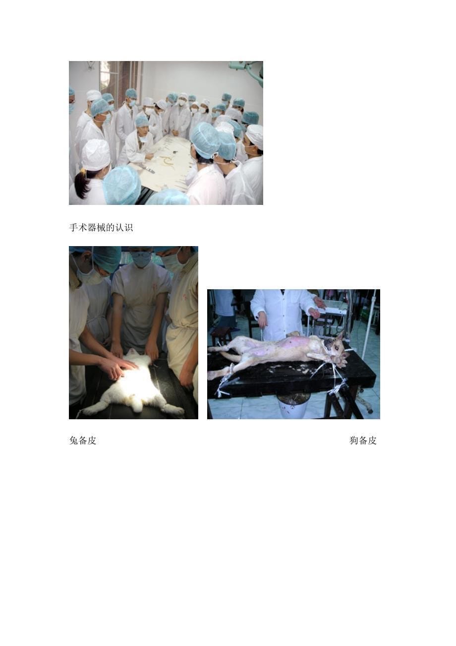 外科手术图片_第5页