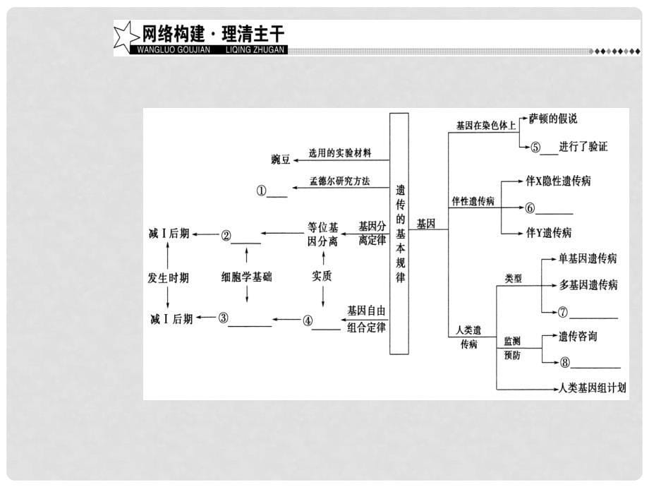 高考生物二轮专题复习 专题三 遗传、变异和进化 小专题7 遗传的基本定律和伴性遗传课件_第5页