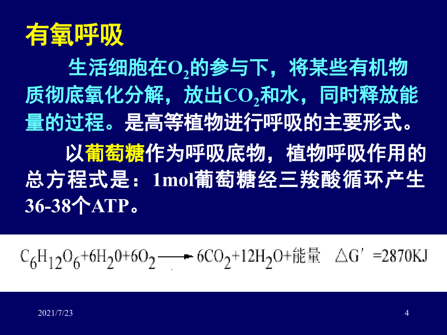 植物生理学第4章---呼吸作用PPT课件_第4页