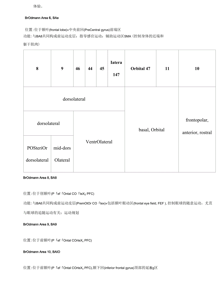 大脑的解剖结构和功能布鲁德曼分区_第2页