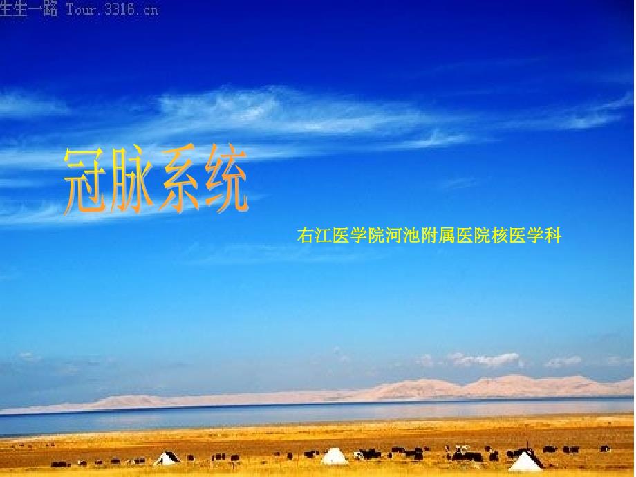 冠脉血管_第1页