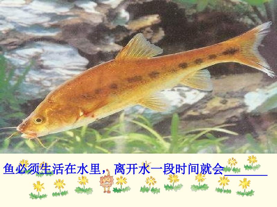 苏教版生物七年级上册1.1.2生物与环境的关系课件4_第2页