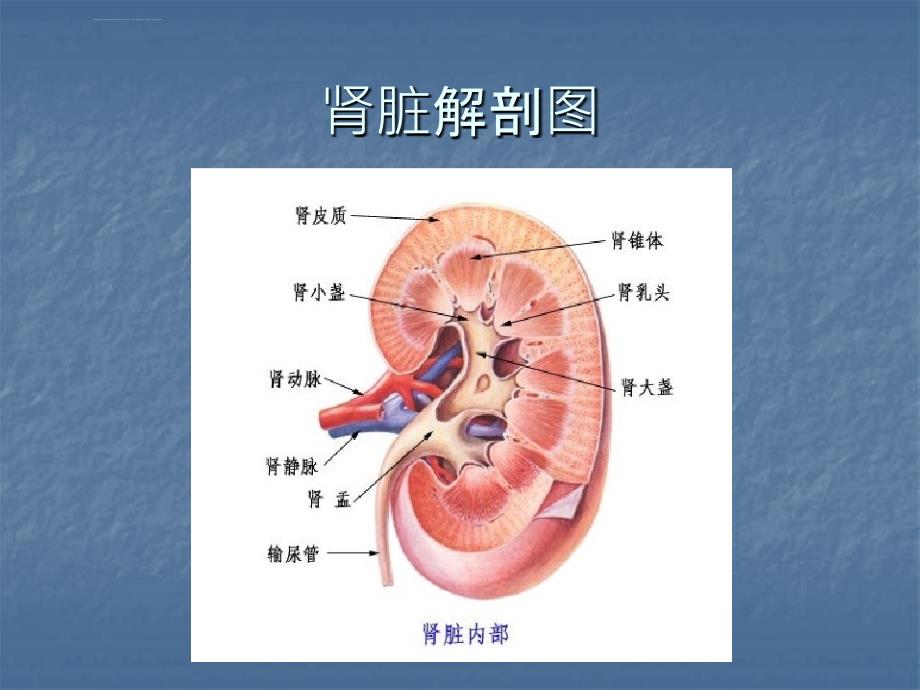 肾囊肿围手术期护理ppt课件_第4页