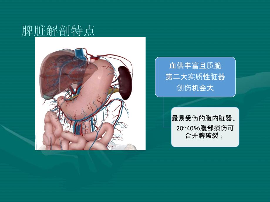 钝性脾脏损伤的诊治规范_第1页