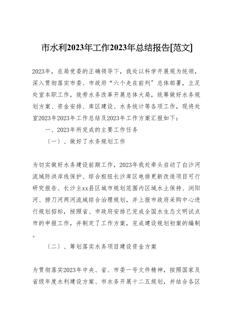 2023年X市水利工作总结报告.doc_第1页