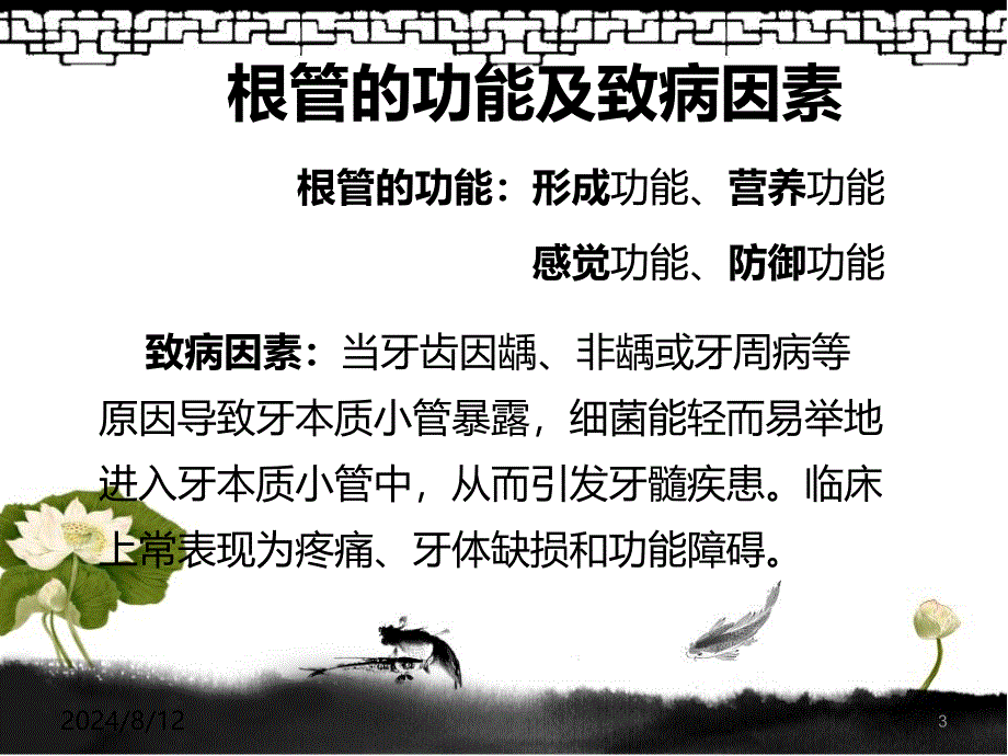 根管治疗术PPT课件_第3页