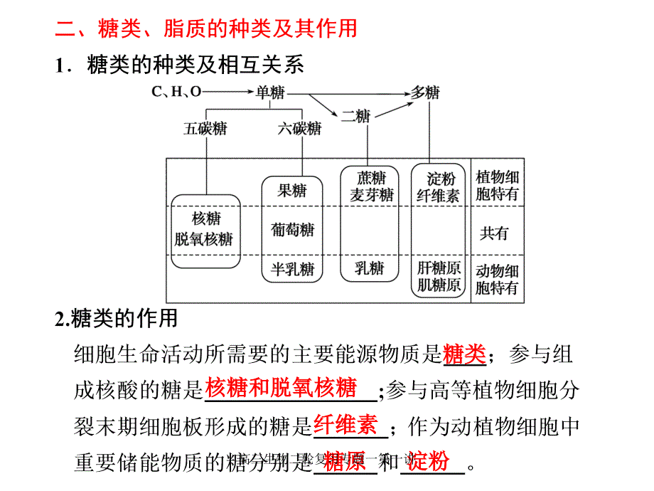 高三生物二轮复习专题一第一讲课件_第4页