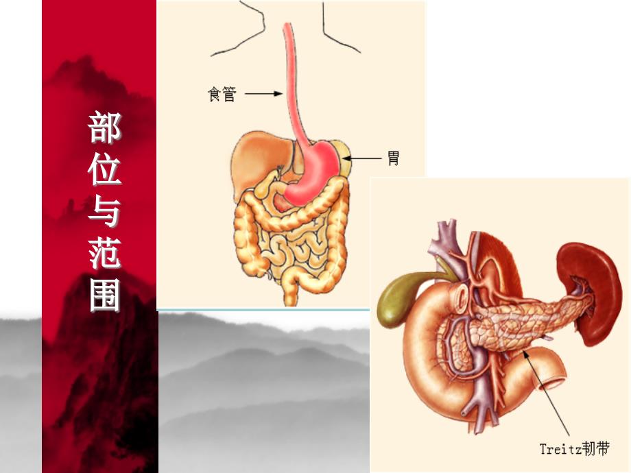 上消化道出血鉴别诊断及处理原则_第3页