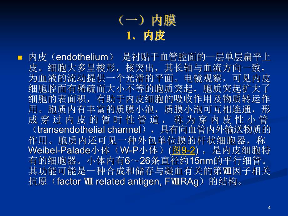 （优质课件）循环系统_第4页