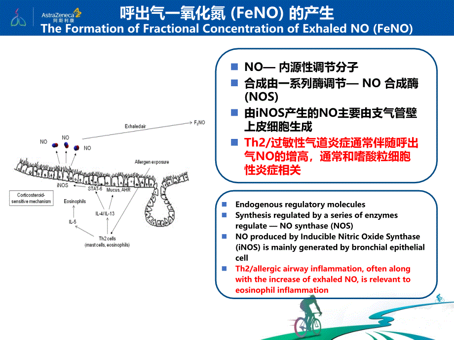 呼吸类医学交流课件：FENO在哮喘诊断和治疗中的作用_第3页