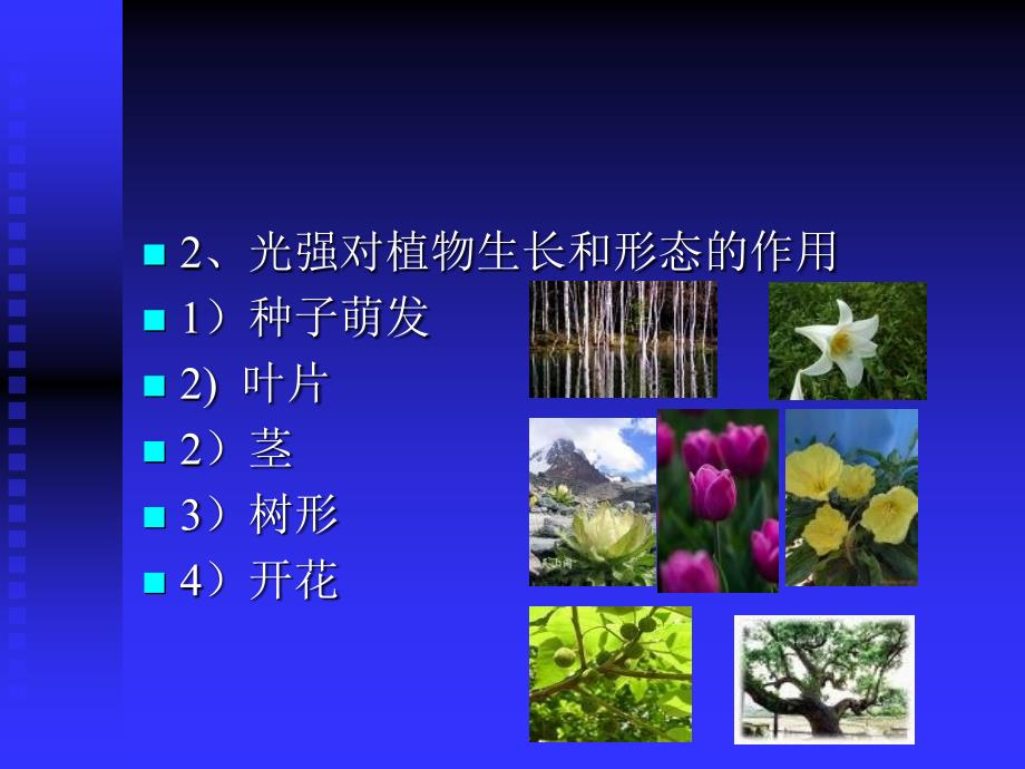 园林植物与生态环境的关系_第4页