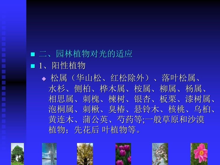 园林植物与生态环境的关系_第5页