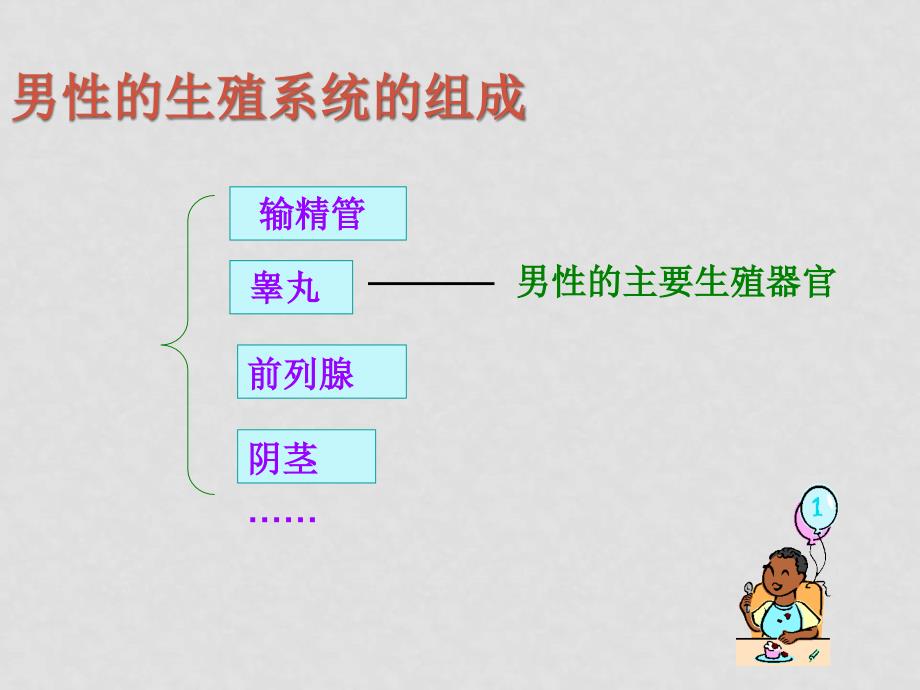 七年级生物下册 8.1 精卵结合孕育新的生命（课件）苏教版_第5页