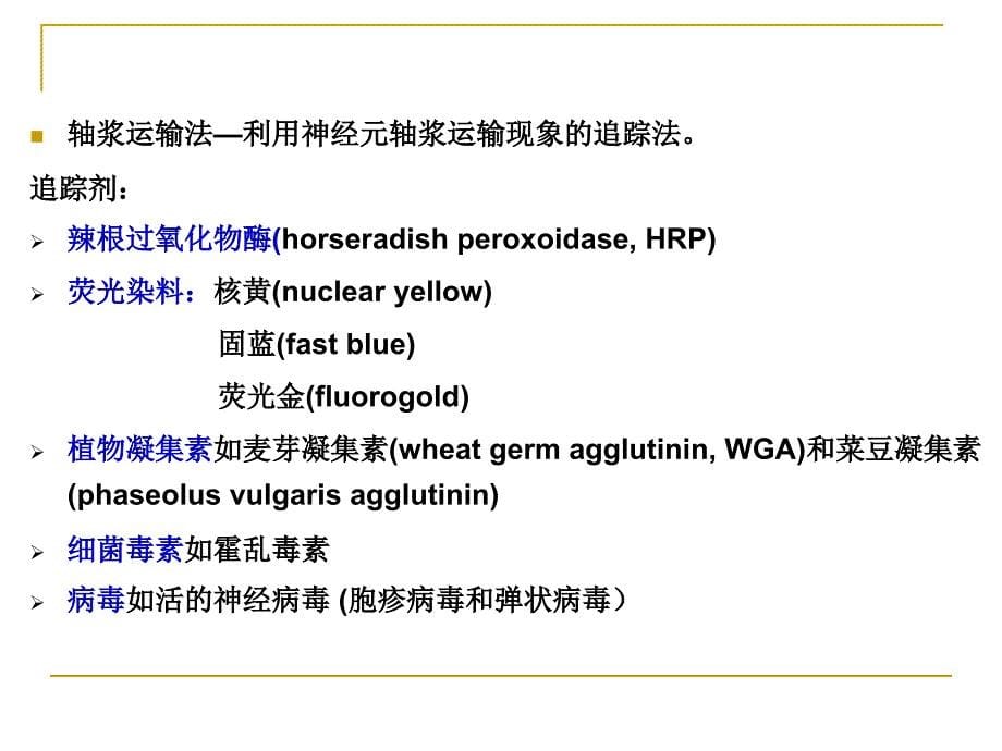 神经生物学第二章--神经生物学研究的方法课件_第5页