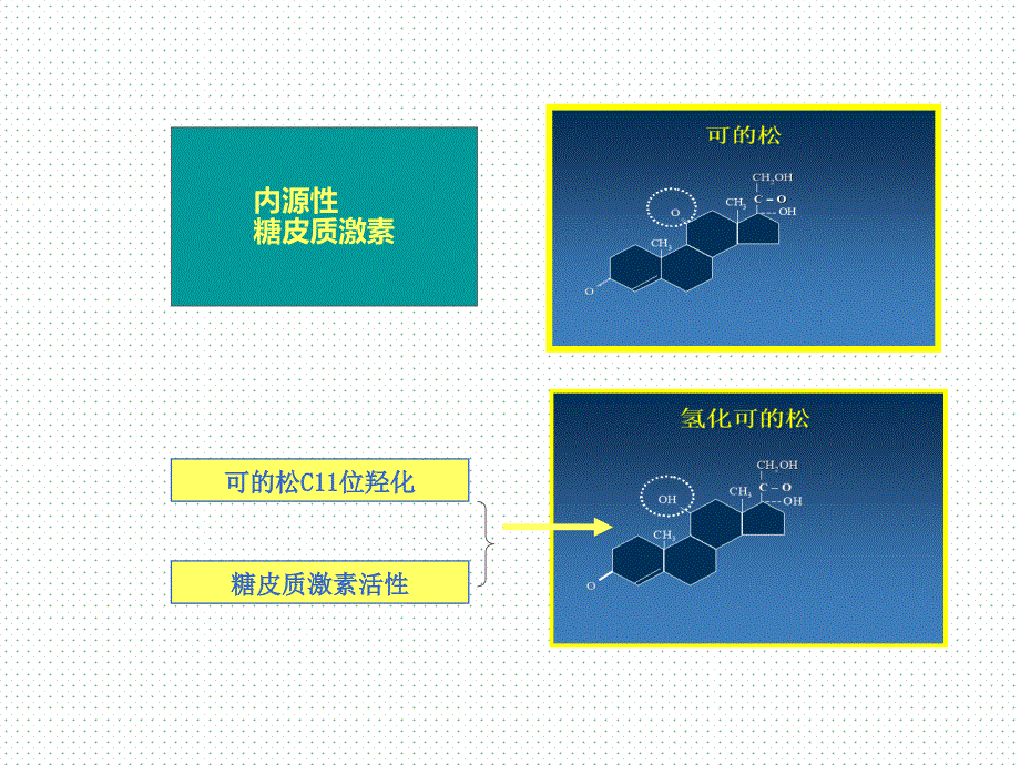 不同糖皮质激素之间的区别ppt课件_第4页