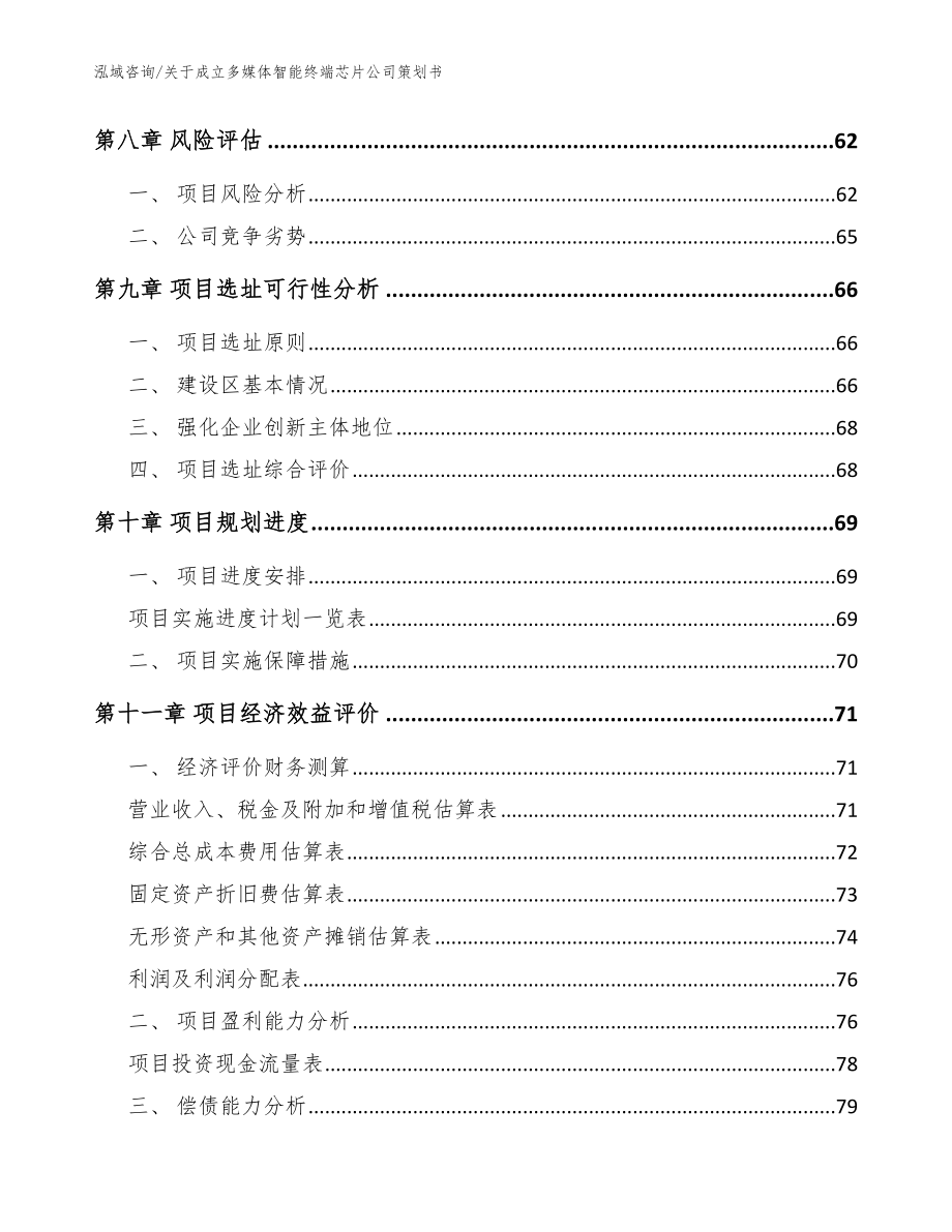 关于成立多媒体智能终端芯片公司策划书【范文参考】_第4页