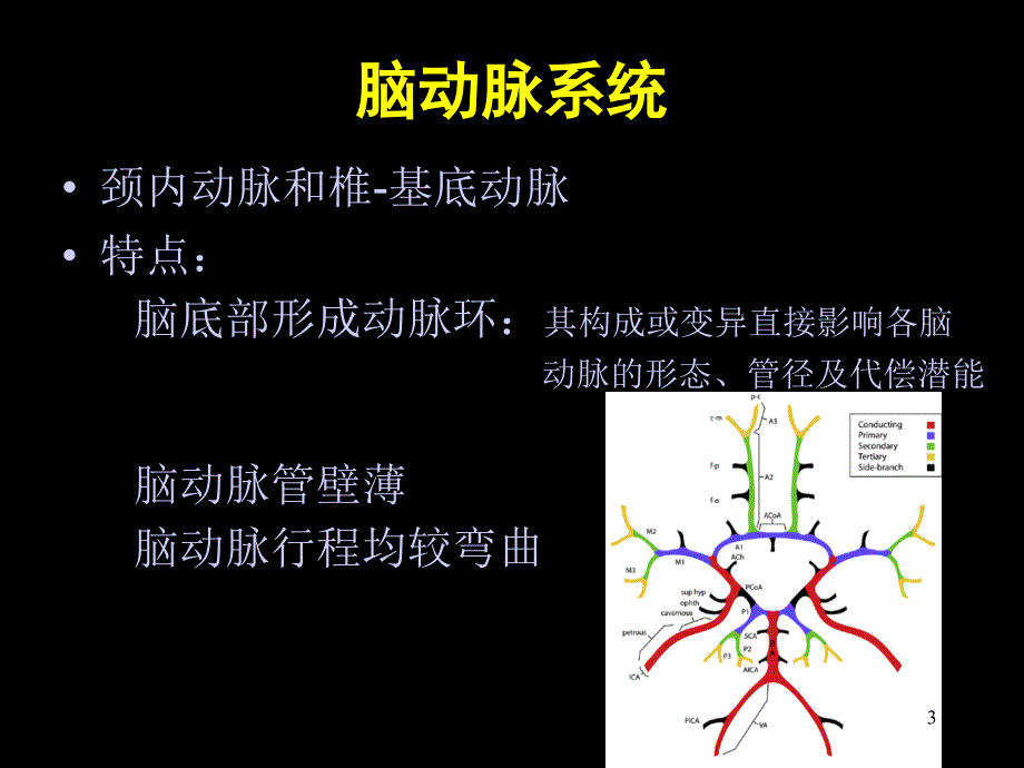 医学课件脑动脉的正常变异_第3页