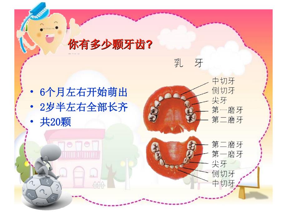 幼儿园口腔保健课件_第3页