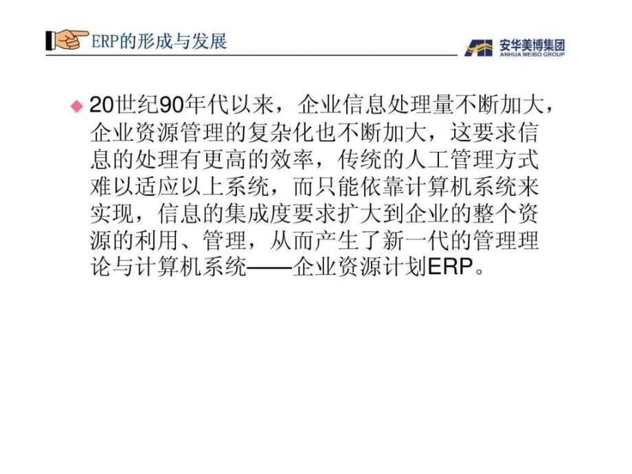 黄婧探讨什么是ERP_第5页