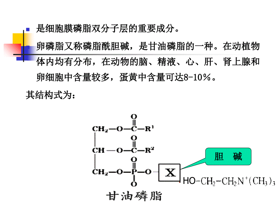 实验九卵磷脂的提取和鉴定_第3页